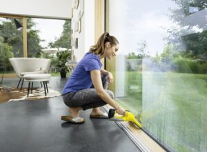 Karcher WV 1 Plus Window Vacuum